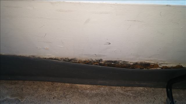 Mold damage restoration